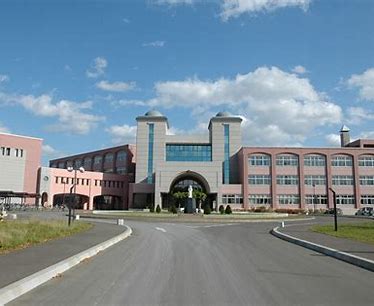 大学・短大　私立藤女子大学（大学・短大）まで1099m