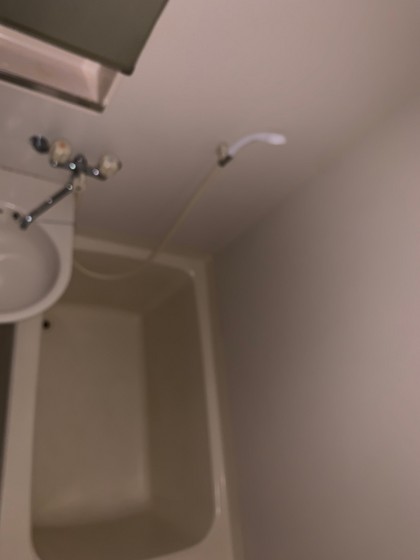 バス・シャワールーム　他の部屋の写真です。