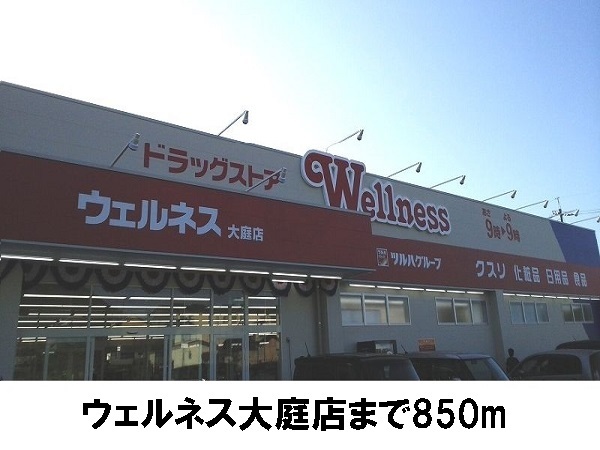 ドラックストア　ウェルネス大庭店（ドラッグストア）まで850m