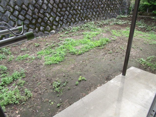 庭