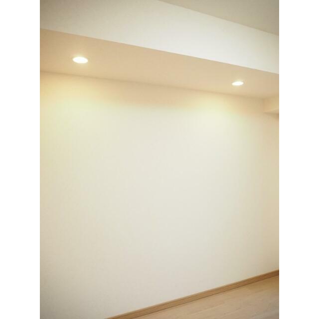 その他　ダウンライト