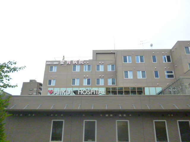 病院　（財）小児愛育協会附属愛育病院（病院）まで439m