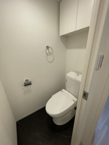 トイレ　同建物反転タイプを表示しています