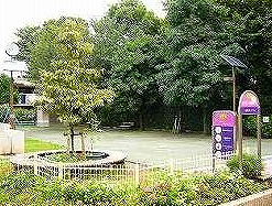 公園　むらさき公園（公園）まで494m