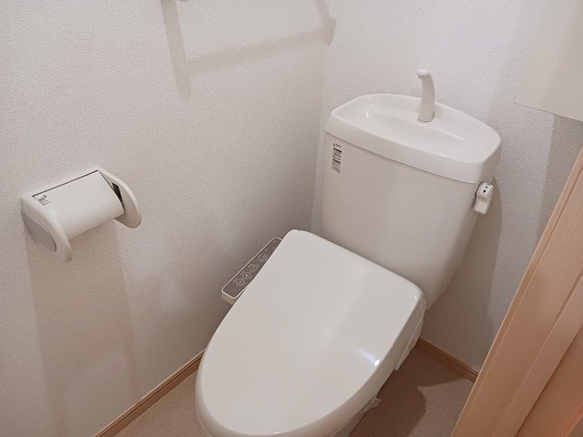 トイレ　トイレも気になるポイント