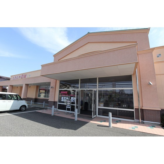 ドラックストア　とをしや薬局島内店（ドラッグストア）まで786m