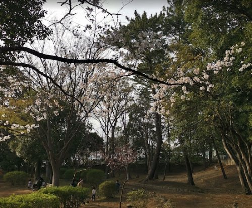 公園　しょうぶ公園（公園）まで1863m