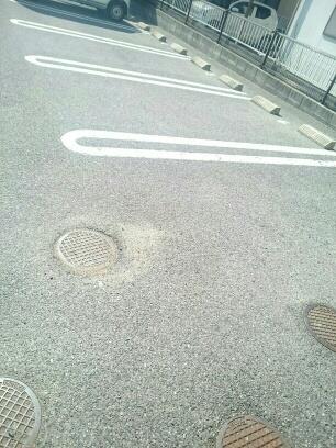 駐車場　駐車場です。