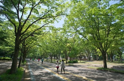 公園　駒沢オリンピック公園（公園）まで400m