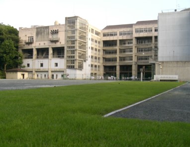 中学校　港区立高松中学校（中学校）まで290m