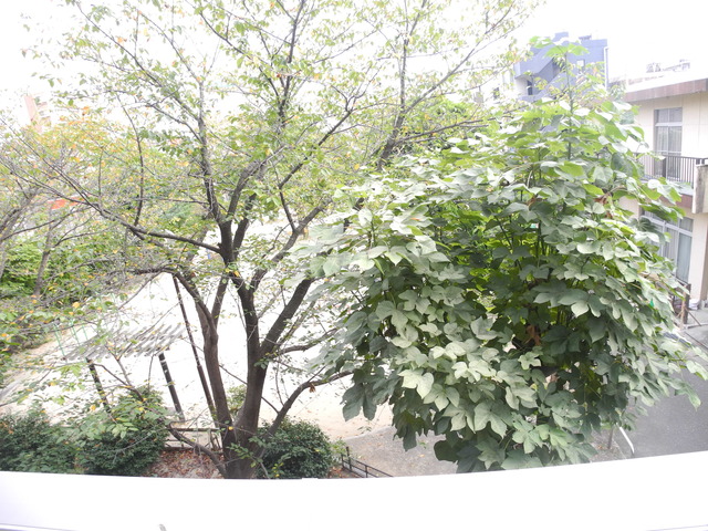 眺望　※同タイプのお部屋のお写真です。