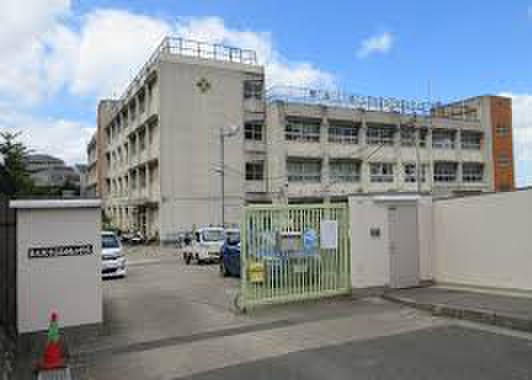 小学校　東大阪市立石切東小学校（小学校）まで700m