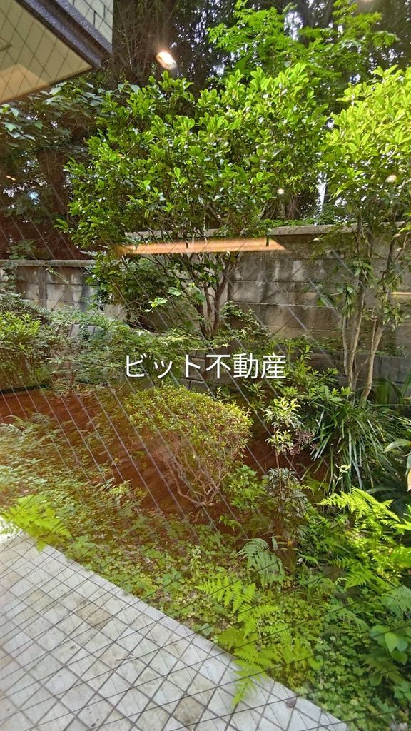 庭