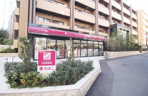 コンビニ　ナチュラルローソン南麻布二丁目店（コンビニ）まで2m