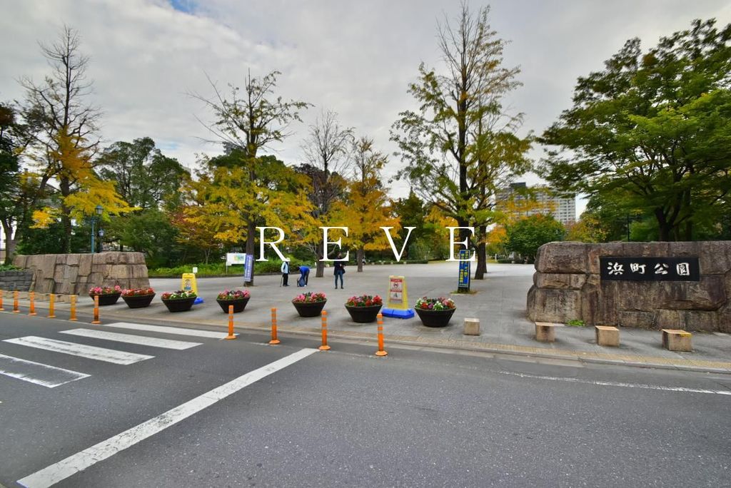 公園　浜町公園（公園）まで480m