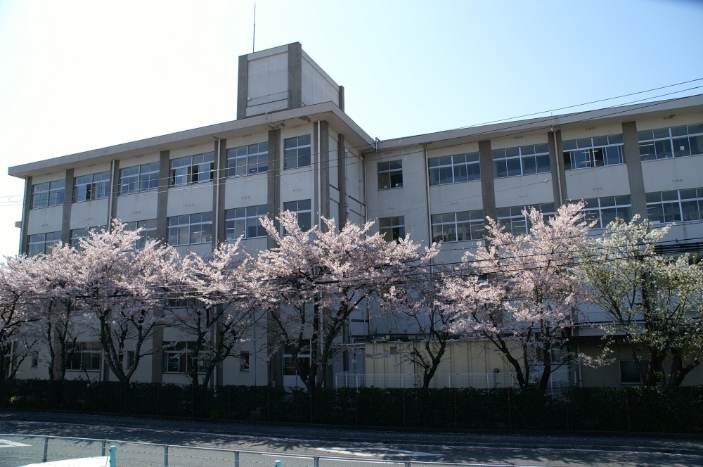 小学校　姫路市立　英賀保小学校（小学校）まで1089m