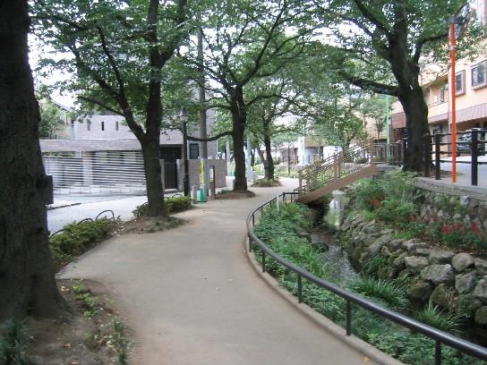 公園　北沢川緑道（公園）まで442m