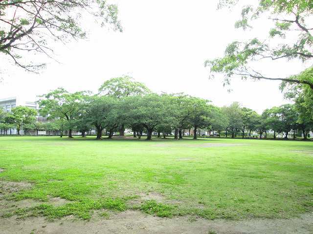 その他　宮崎市中央公園（その他）まで1000m