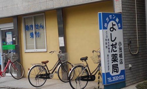 ドラックストア　よしだ薬局 小茂根店（ドラッグストア）まで162m