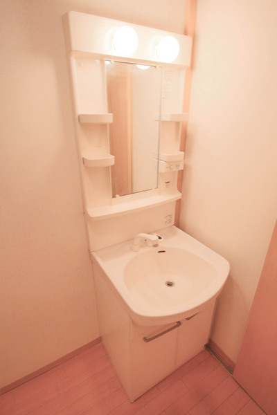 洗面設備　同じ建物の別の部屋