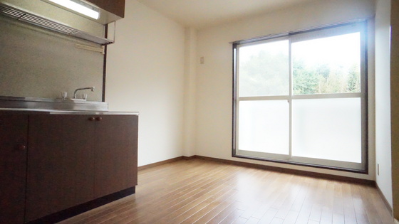 SurplusTwoコーポラス戸木の居間写真