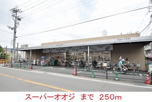 スーパー　スーパーオオジ（スーパー）まで250m