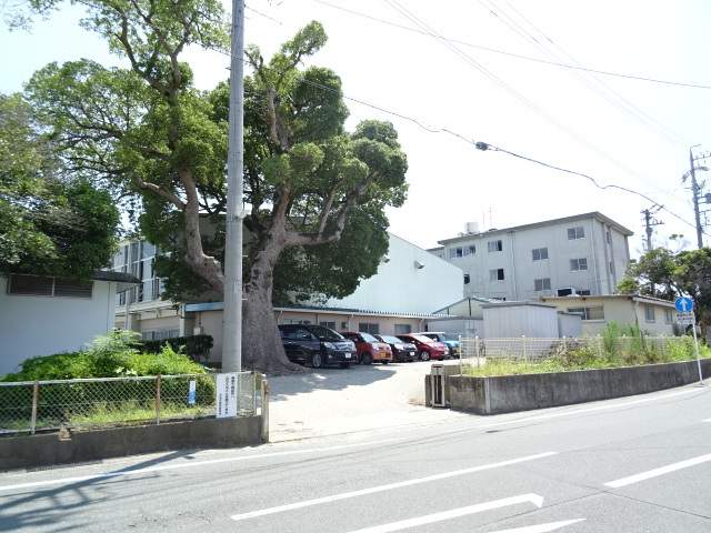 小学校　芳川小学校（小学校）まで726m