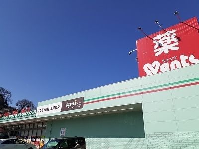 ドラックストア　ウォンツ岩国保津店（ドラッグストア）まで1100m
