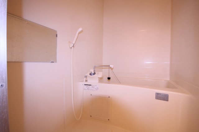 洗面設備　写真は類似です。