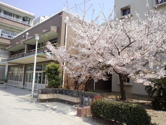 阪急箕面線 桜井駅 徒歩7分 3階建 築34年の周辺写真