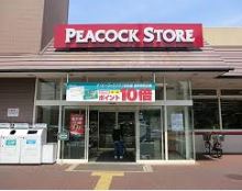 スーパー　ピーコックストア 上池台店（スーパー）まで210m