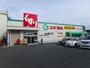 ドラックストア　スギ薬局豊中春日店（ドラッグストア）まで1319m