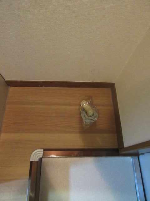 洗面設備　洗面所