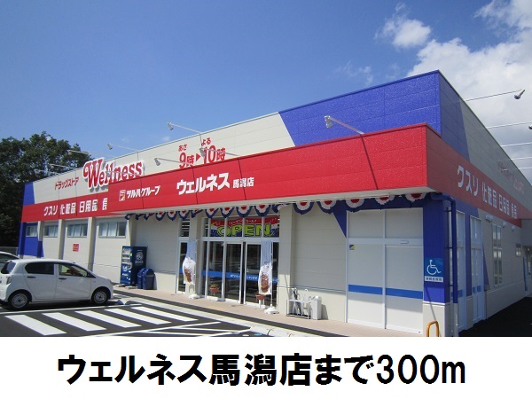 ドラックストア　ウェルネス馬潟店（ドラッグストア）まで300m
