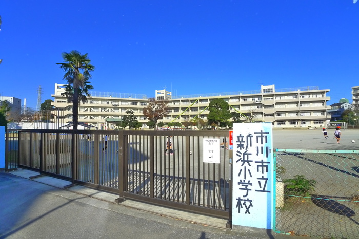 小学校　新浜小学校（小学校）まで600m