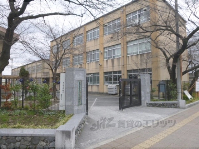 小学校　九条弘道小学校（小学校）まで850m