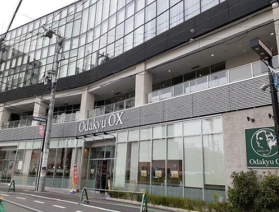 スーパー　OdakyuOX向ヶ丘遊園店（スーパー）まで699m