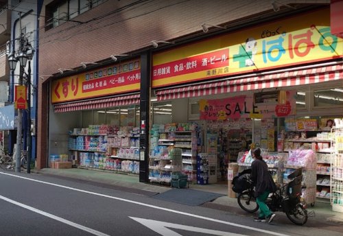 ドラックストア　どらっぐぱぱす 滝野川店（ドラッグストア）まで142m