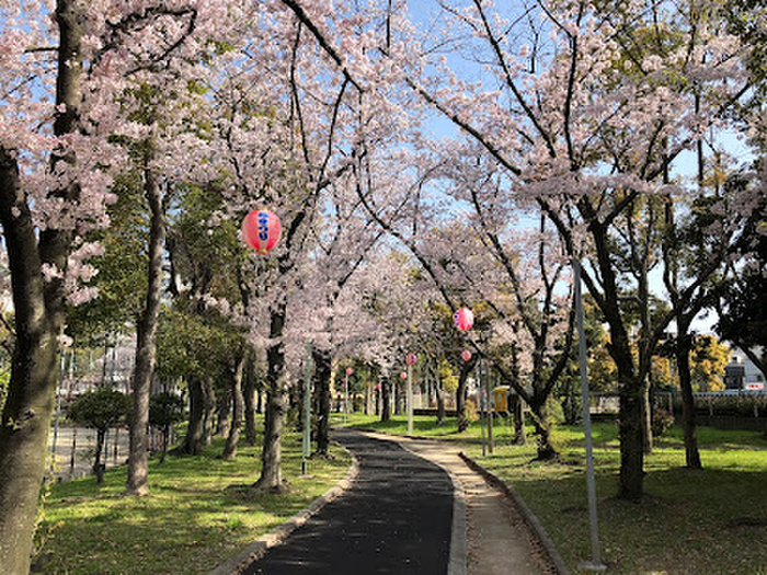 公園　芦原公園（公園）まで199m