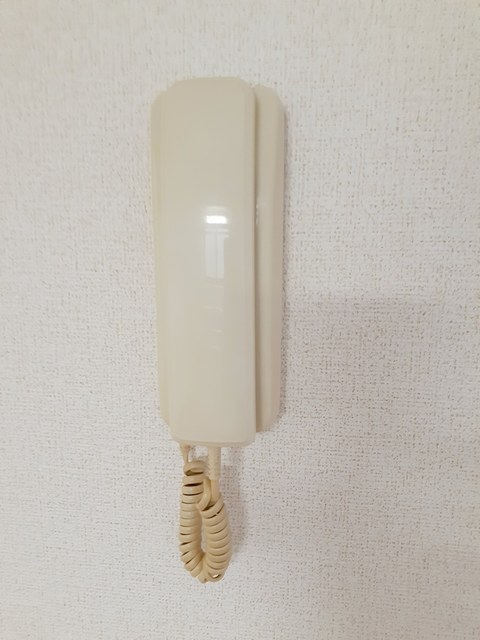 ルミエール大田のその他写真