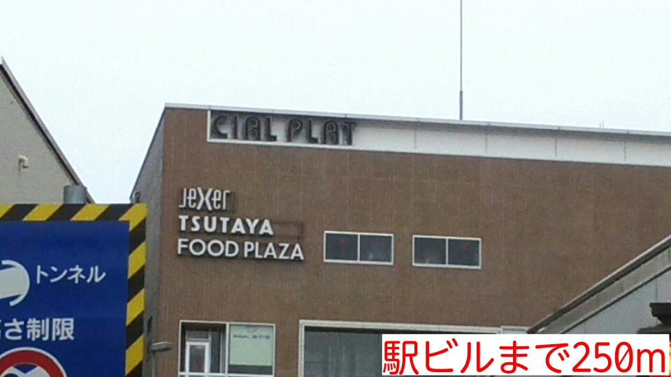 その他　駅ビル（その他）まで250m