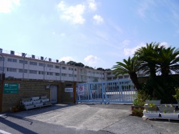 小学校　北九州市立永犬丸西小学校（小学校）まで145m