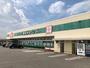スーパー　木村チェーン西条店（スーパー）まで1566m