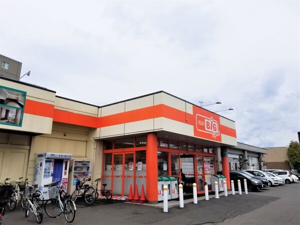 ショッピングセンター　ザ・ビッグエクスプレス平岸店（ショッピングセンター）まで305m