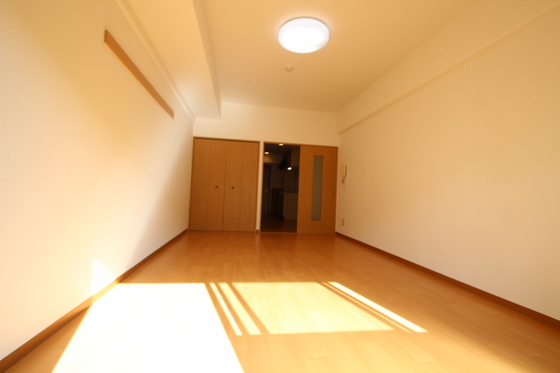 居室・リビング　※別号室の写真になります。