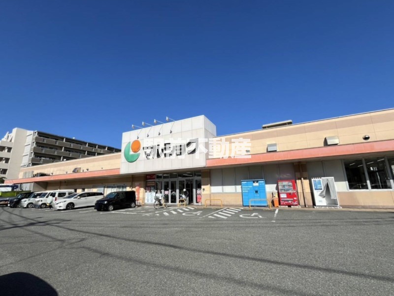 スーパー　マルショク吉塚駅東店（スーパー）まで300m