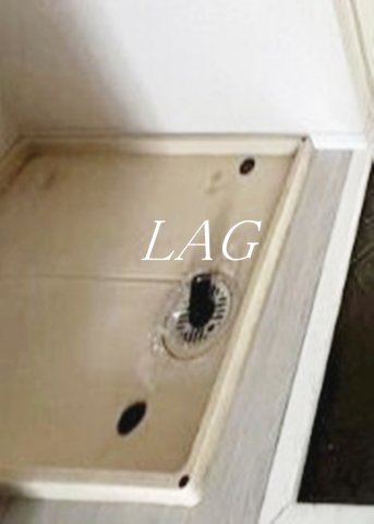 その他設備　室内洗濯機置き場です。