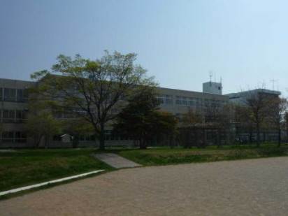 小学校　札幌市立新琴似小学校（小学校）まで658m