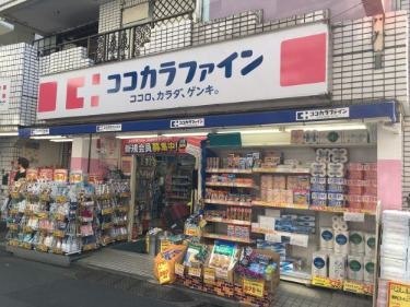 ドラックストア　ココカラファイン 二子新地店（ドラッグストア）まで119m