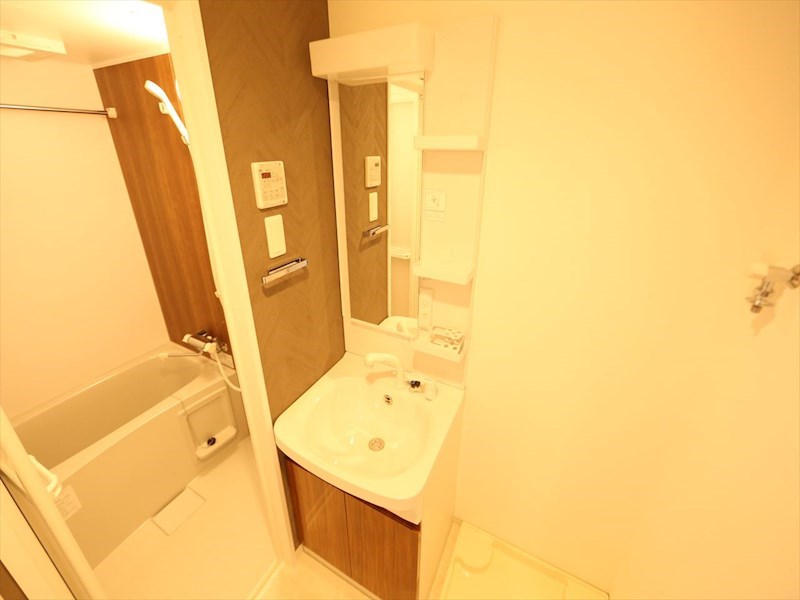 洗面設備　脱衣所　独立洗面台（シャンプードレッサー付）収納スペース有